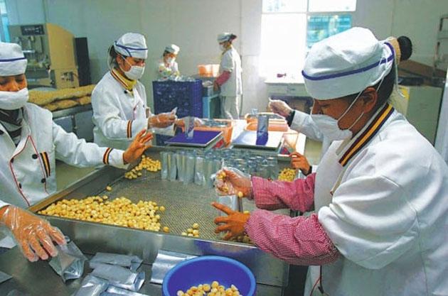 干果加工生產(chǎn)車間風淋室 干果加工生產(chǎn)車間風淋室