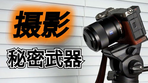 三腳架就是攝影的秘密武器,穩(wěn)穩(wěn)當(dāng)當(dāng)?shù)暮馨残? />
</span>
<span id=